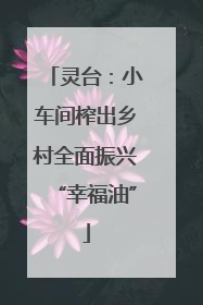 灵台：小车间榨出乡村全面振兴“幸福油”
