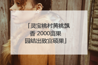 灵宝桃村黄桃飘香 2000亩果园结出致富硕果