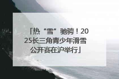 热“雪”驰骋！2025长三角青少年滑雪公开赛在沪举行