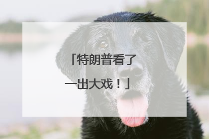 特朗普看了一出大戏！