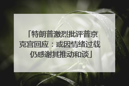 特朗普激烈批评普京 克宫回应：或因情绪过载 仍感谢其推动和谈