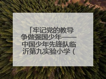 牢记党的教导 争做强国少年——中国少年先锋队临沂第九实验小学（北校区）第三次代表大会胜利召开