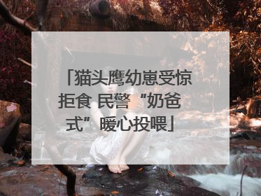 猫头鹰幼崽受惊拒食 民警“奶爸式”暖心投喂