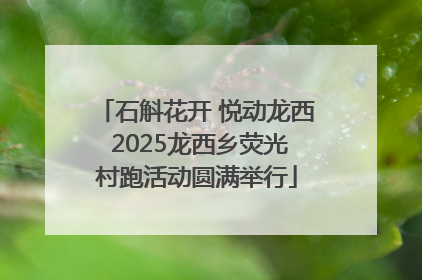 石斛花开 悦动龙西 2025龙西乡荧光村跑活动圆满举行