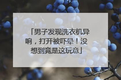 男子发现洗衣机异响，打开被吓晕！没想到竟是这玩意