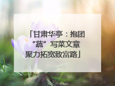 甘肃华亭：抱团“蔬”写菜文章 聚力拓宽致富路