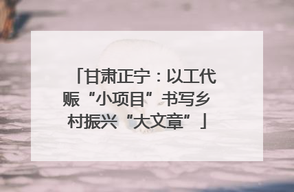 甘肃正宁：以工代赈“小项目”书写乡村振兴“大文章”