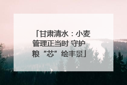 甘肃清水：小麦管理正当时 守护粮“芯”绘丰景