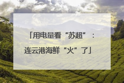 用电量看“苏超”：连云港海鲜“火”了