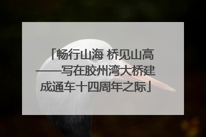 畅行山海 桥见山高——写在胶州湾大桥建成通车十四周年之际