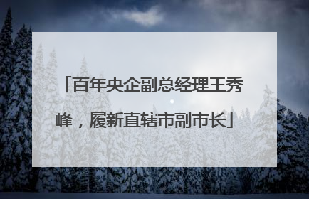 百年央企副总经理王秀峰，履新直辖市副市长