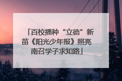 百校播种“立德”新苗《阳光少年报》照亮南召学子求知路