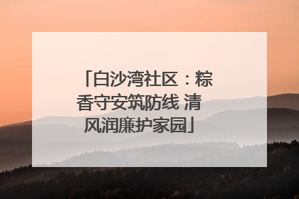 白沙湾社区：粽香守安筑防线 清风润廉护家园