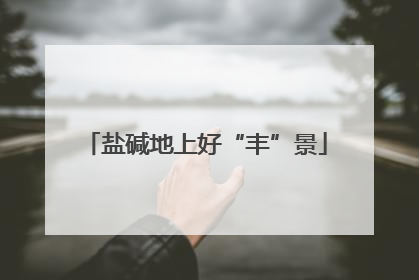 盐碱地上好“丰”景