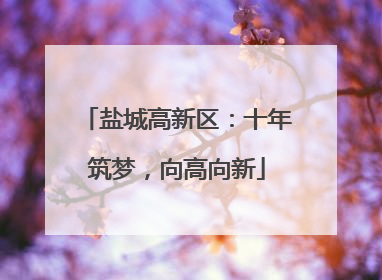 盐城高新区：十年筑梦，向高向新