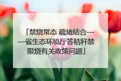 禁烧常态 疏堵结合——省生态环境厅答秸秆禁限烧有关政策问题