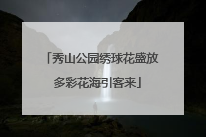 秀山公园绣球花盛放 多彩花海引客来