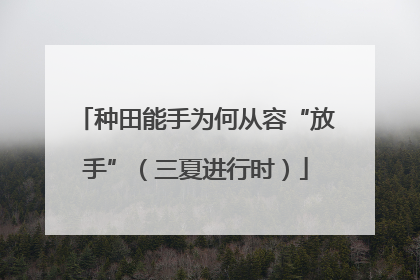 种田能手为何从容“放手”（三夏进行时）