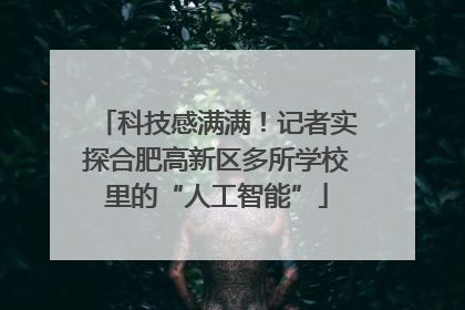 科技感满满！记者实探合肥高新区多所学校里的“人工智能”