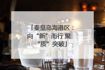 秦皇岛海港区：向“新”而行 聚“质”突破
