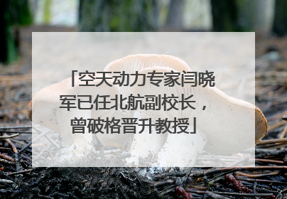 空天动力专家闫晓军已任北航副校长，曾破格晋升教授