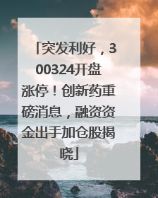 突发利好，300324开盘涨停！创新药重磅消息，融资资金出手加仓股揭晓