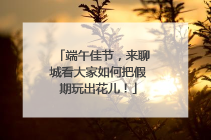 端午佳节，来聊城看大家如何把假期玩出花儿！