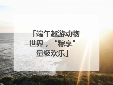 端午趣游动物世界，“粽享”量级欢乐