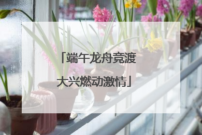 端午龙舟竞渡 大兴燃动激情