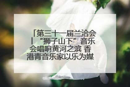第三十一届兰洽会丨“狮子山下”音乐会唱响黄河之滨 香港青音乐家以乐为媒促陇港文化交流