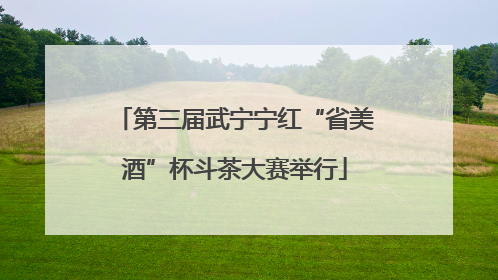 第三届武宁宁红“省美酒”杯斗茶大赛举行