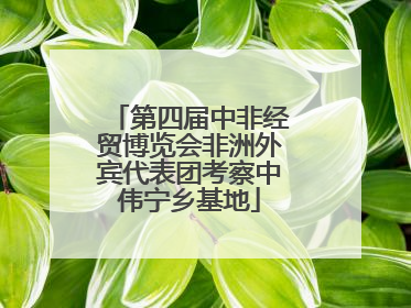 第四届中非经贸博览会非洲外宾代表团考察中伟宁乡基地