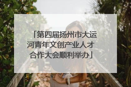 第四届扬州市大运河青年文创产业人才合作大会顺利举办