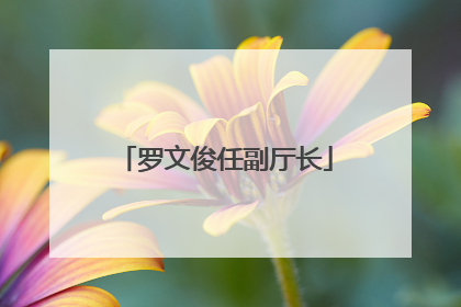 罗文俊任副厅长