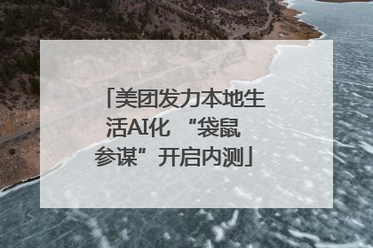 美团发力本地生活AI化 “袋鼠参谋”开启内测