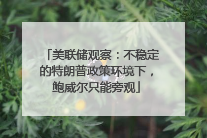 美联储观察：不稳定的特朗普政策环境下，鲍威尔只能旁观