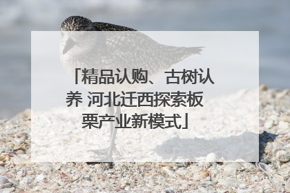 精品认购、古树认养 河北迁西探索板栗产业新模式