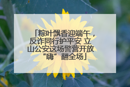 粽叶飘香迎端午，反诈同行护平安 立山公安这场警营开放“嗨”翻全场