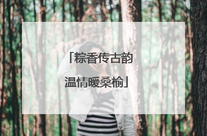 粽香传古韵 温情暖桑榆