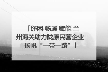 纾困 畅通 赋能 兰州海关助力陇原民营企业扬帆“一带一路”