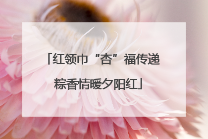 红领巾“杏”福传递 粽香情暖夕阳红