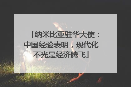 纳米比亚驻华大使：中国经验表明，现代化不光是经济腾飞