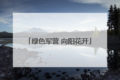 绿色军营 向阳花开