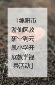 绵阳市游仙区教研室到云凤小学开展教学视导活动