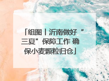 组图丨沂南做好“三夏”保障工作 确保小麦颗粒归仓