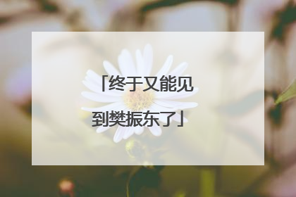终于又能见到樊振东了