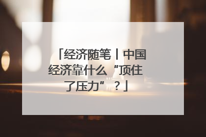 经济随笔丨中国经济靠什么“顶住了压力”？