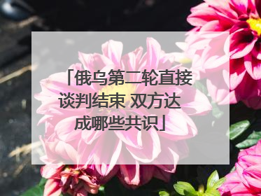 俄乌第二轮直接谈判结束 双方达成哪些共识