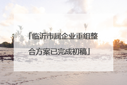 临沂市属企业重组整合方案已完成初稿