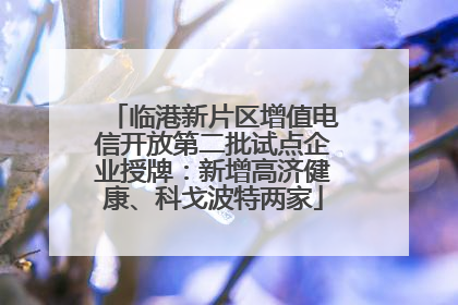 临港新片区增值电信开放第二批试点企业授牌：新增高济健康、科戈波特两家